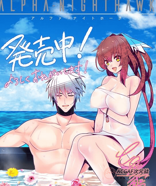 【大型SLG/中文】ALPHA-NIGHTHAWK STEAM官方中文版+全CG存档【新作/全CV/4G】插图2 【大型SLG/中文】ALPHA-NIGHTHAWK STEAM官方中文版+全CG存档【新作/全CV/4G】插图2